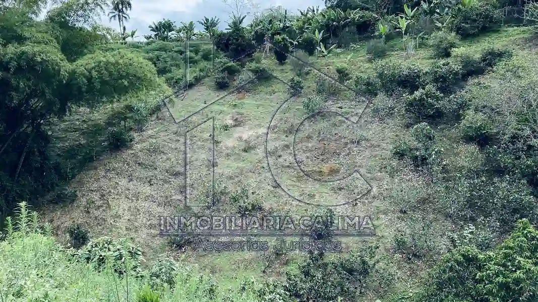 Casa Campestre, Circasia